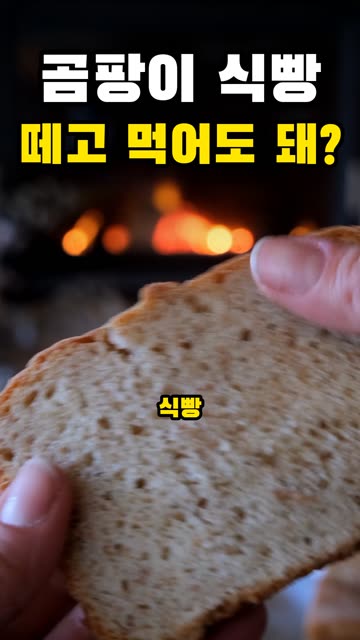 곰팡이 식빵, 떼고 먹지 마세요 영상