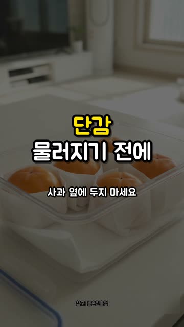 단감 금방 물러지죠? 이렇게 보관하세요 🍊
