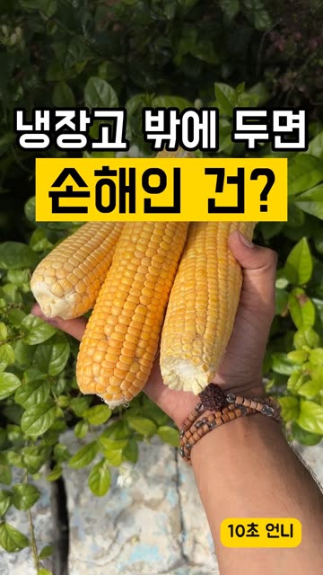 냉장고 밖에 두면 손해인 건? 영상