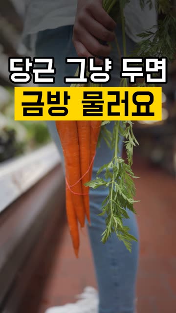 당근 머리를 잘라 보관하는 이유 영상