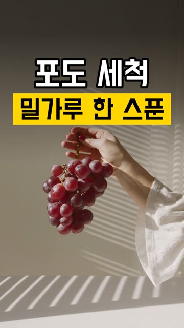 포도 씻을 때 밀가루 한 스푼 영상