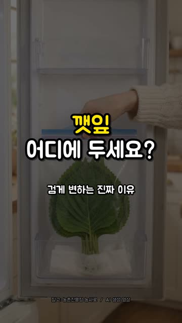아직도 깻잎 냉장고 안쪽에 두세요? 영상