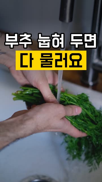 부추 눕히지 말고 세워서 보관해 보세요 영상