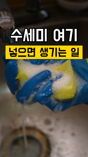 수세미 전자레인지에 돌리면 생기는 일