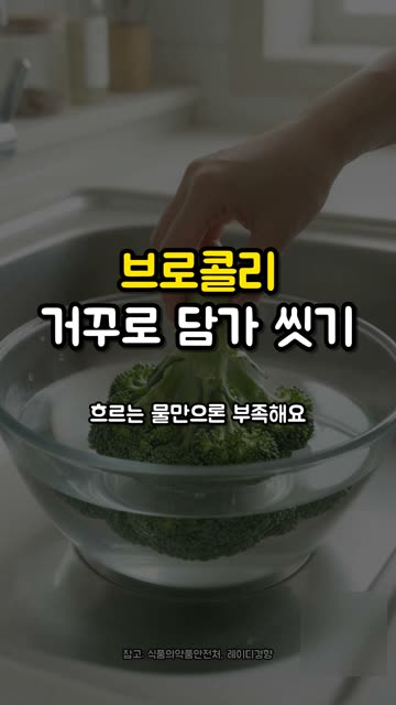 브로콜리는 거꾸로 담가 씻으세요 🥦
