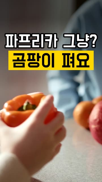파프리카 냉장고 넣기 전 씨부터 제거하세요 영상
