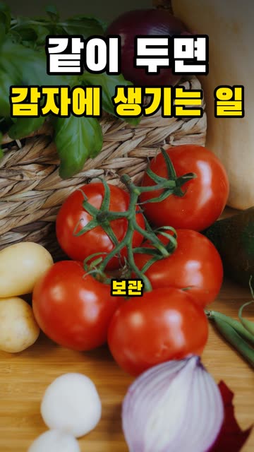 양파랑 감자 같이 두면 안 되는 이유